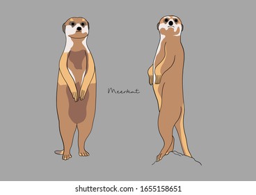 Vector Illustration of Meerkat / Suricate