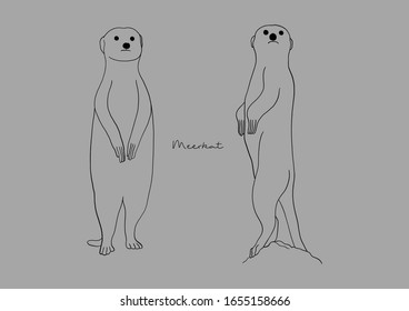 Vector Illustration of Meerkat / Suricate