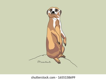 Vector Illustration of Meerkat / Suricate