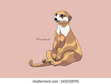 Vector Illustration of Meerkat / Suricate