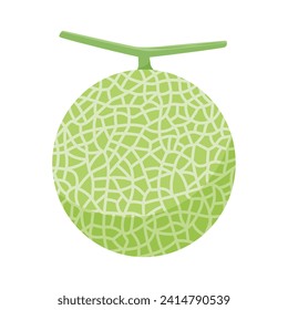 Vector illustration of melon fruit