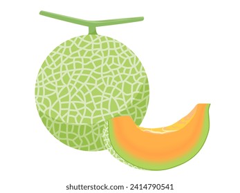 Ilustración vectorial del fruto del melón