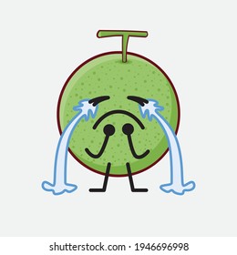 Ilustración vectorial del personaje de la fruta de Melón con cara linda, manos simples y líneas de piernas en fondo aislado. Estilo de dibujo animado plano.