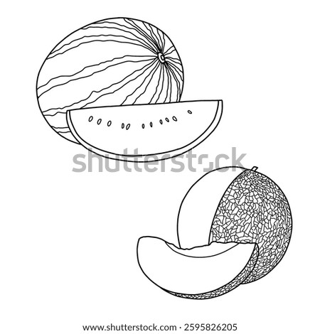 Vector illustration of melon fruits hand drawn sketch, various melon fruit line art. Containing watermelon and honeydew. Flat sketch vector outline doodle illustration. Isolated on a white background