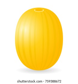 Vector illustration of melon isolated on white background