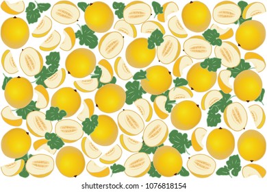 vector illustration of melon and leaf design background white and vegetable EPS10