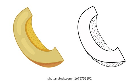 Ilustración vectorial del melón sobre fondo blanco.Productos vegetarianos orgánicos. Conjunto de símbolos de melón aplicables a los menús de los restaurantes o de los envases, etiquetas, póster, impresión.Colores en fondo blanco