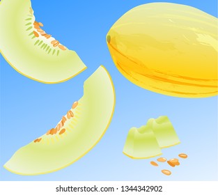 Vector illustration with melon, its slices and seeds on the blue background