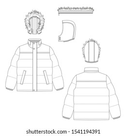 Vector illustration of men's jacket. Front and back