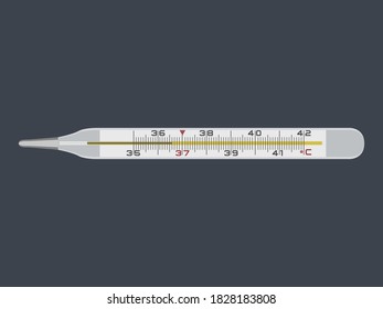 Vector illustration of a mercury thermometer for measuring body temperature.