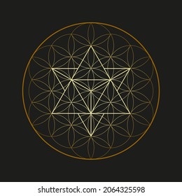 Vector illustration of Merkaba tetrahedron within the Flower of Life sacred geometry symbols