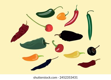 Vector illustration of MEXICAN CHILLIES. fresh chili and dried chili. Types of chili in Mexico. ,bell-pepper,habanero