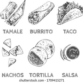 Vector illustration of Mexican traditional national food set. Tamale, Burrito, Taco, Nachos, Tortilla, Salsa. Spicy cuisine in a vintage hand drawn engraving style.