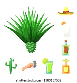 Vector illustration of Mexico and tequila sign. Collection of Mexico and fiesta vector icon for stock.