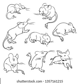Vector illustration of mice