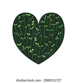 Vector illustration of microgreens. Healthy young seedlings. Healthy eco-friendly food.