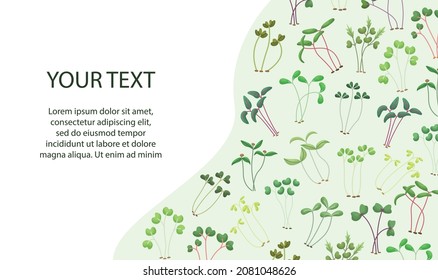 Vector illustration of microgreens with a place for text. Healthy young seedlings. Healthy eco-friendly food.