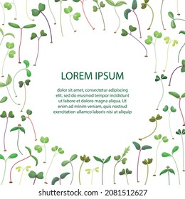 Vector illustration of microgreens with a place for text. Healthy young seedlings. Healthy eco-friendly food.