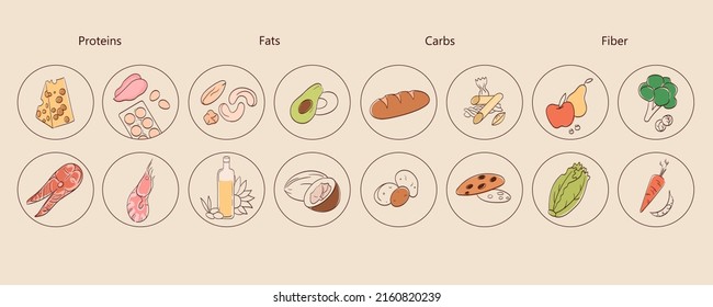 Vector Illustration Micronutrients Icons Fats Proteins Stock Vector 