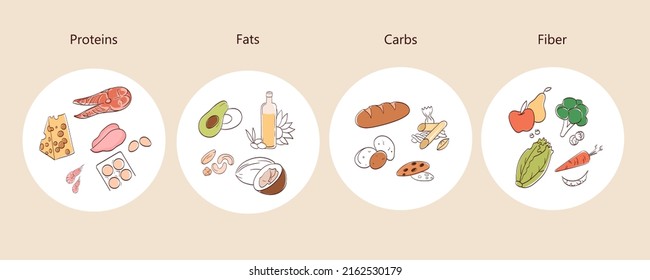 Vector illustration of micronutrients. Icons are fats, proteins, fiber, carbohydrates. Dieting, healthy eating concept.