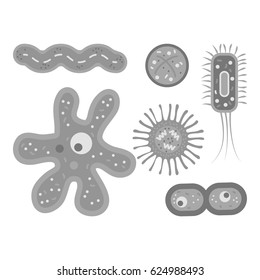 Vector illustration of microorganisms. Set of flat designed germs.