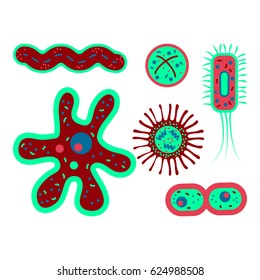 Vector illustration of microorganisms. Set of flat designed germs.