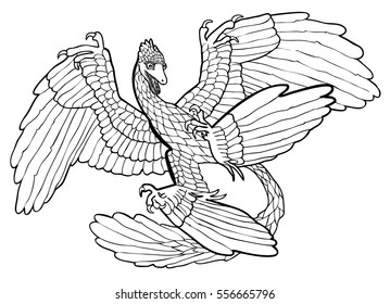 Vector illustration of microraptor black and white