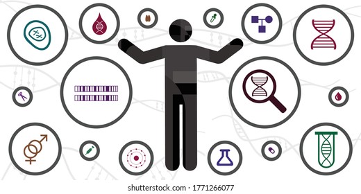 vector illustration of microscopic investigation of human DNA body and chromosome icons