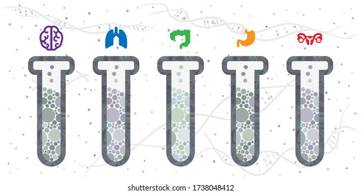 vector illustration of microscopic investigation of tissues and organ samples in flasks