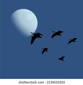 Vector illustration of migratory birds on the background of the night sky with a big moon, silhouettes of flying birds, ducks in the sky vector 