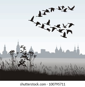 vector illustration of migratory wild geese silhouette of the historic town