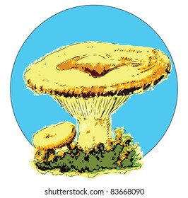 Vector illustration of milk mushroom, edible fungus. Illustration in EPS.