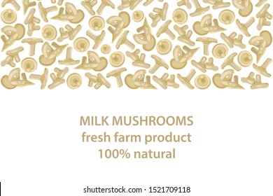 vector illustration of milk mushrooms design background white and mushroom and text fresh farm product 100% natural EPS10
