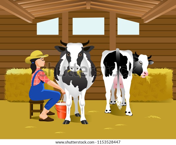 Vector Illustration Milking Cows Cowshed Stock Vector Royalty Free 1153528447 Shutterstock