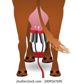 Vector Illustration. Milking cows on the farm.
