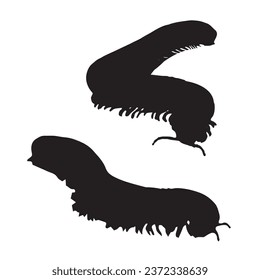 Vektorgrafik von Millipede Silhouette