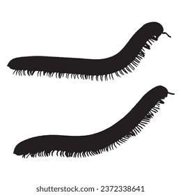 Vector Illustration of Millipede Silhouette