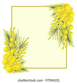vector illustration of  mimosa