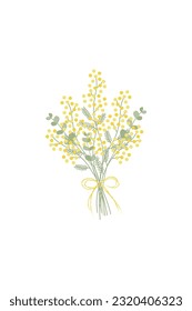 Vector illustration of mimosa bouquet