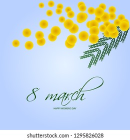 Vector illustration of Mimosa flowers. March 8 - International Women's Day