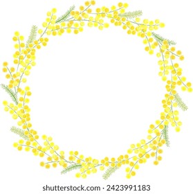 Vector illustration of mimosa round frame in watercolor style