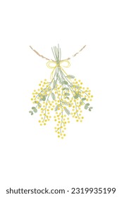 Vector illustration of mimosa swag