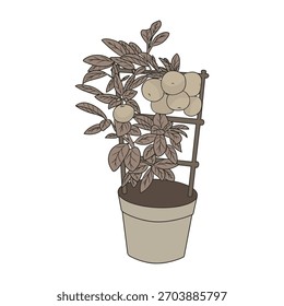 vector illustration of a mini orange plant, vintage style.