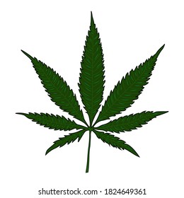 Vector illustration. 
minimalistic vector.
isolated on white background green leaf of hemp. minimalistic drawing of marijuana.
