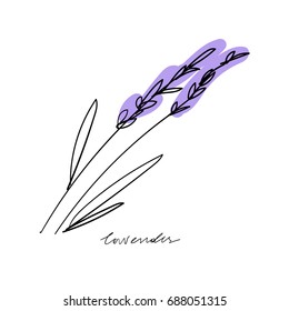 Vector illustration of a minimalistic lavender. Logo, label, design element, print.