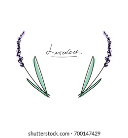 Vector illustration of a minimalistic lavender. Logo, label, design element, print, frame.