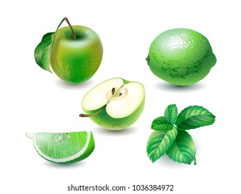 Vector illustration of mint, green apple  and lime on the white background.  Design for juice, tea,  cosmetics, menu, healthcare products. 