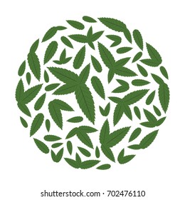 vector illustration of mint green leaves flavor in round shape design