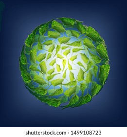vector illustration, mint leaves in a circle on a blue background