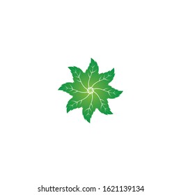 Vector illustration of mint leaves green with white background